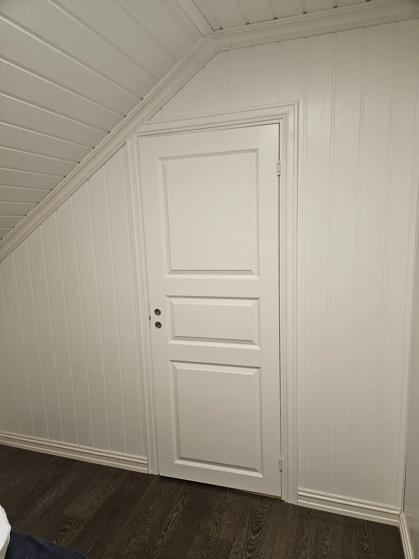 20250129_103935__msi___jpg